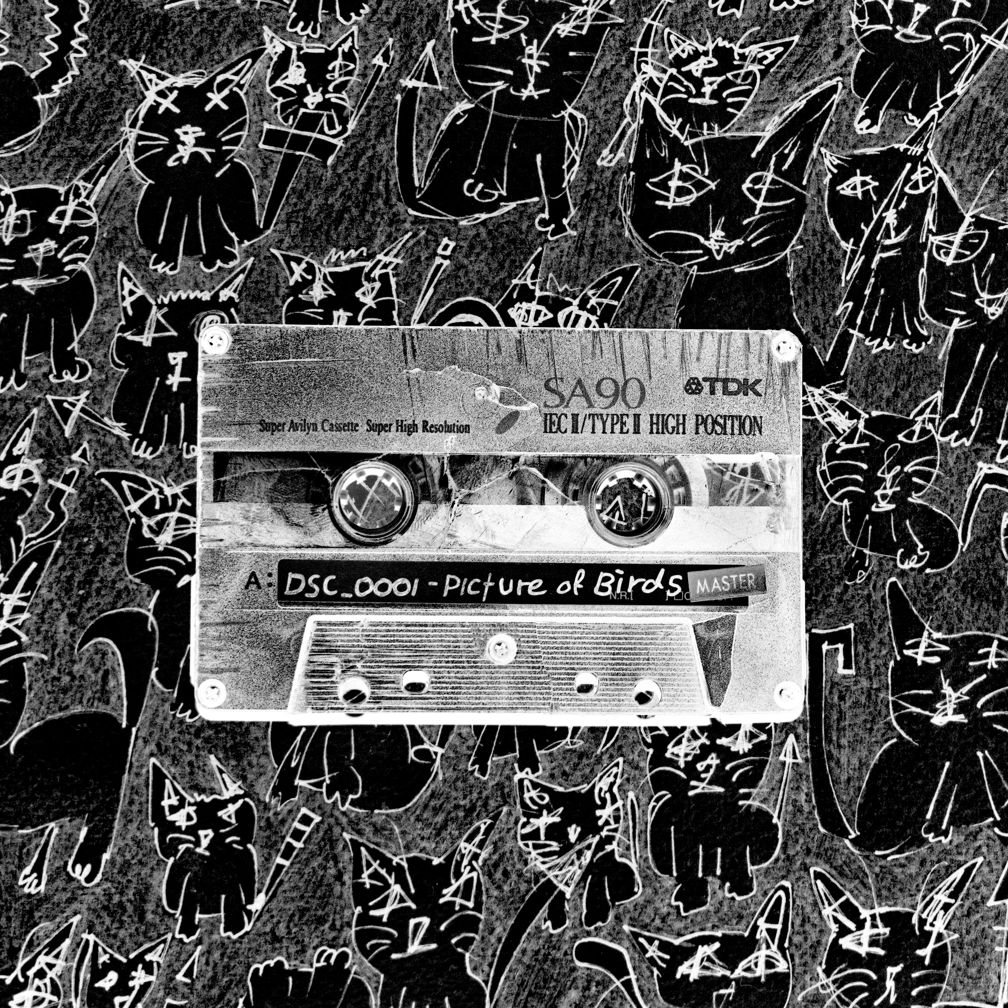 Picture of Birds cover